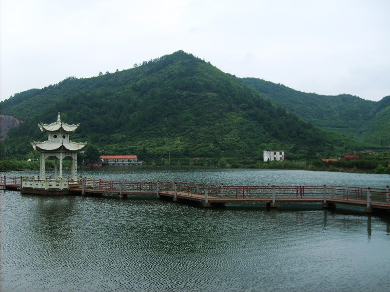 柿树塘